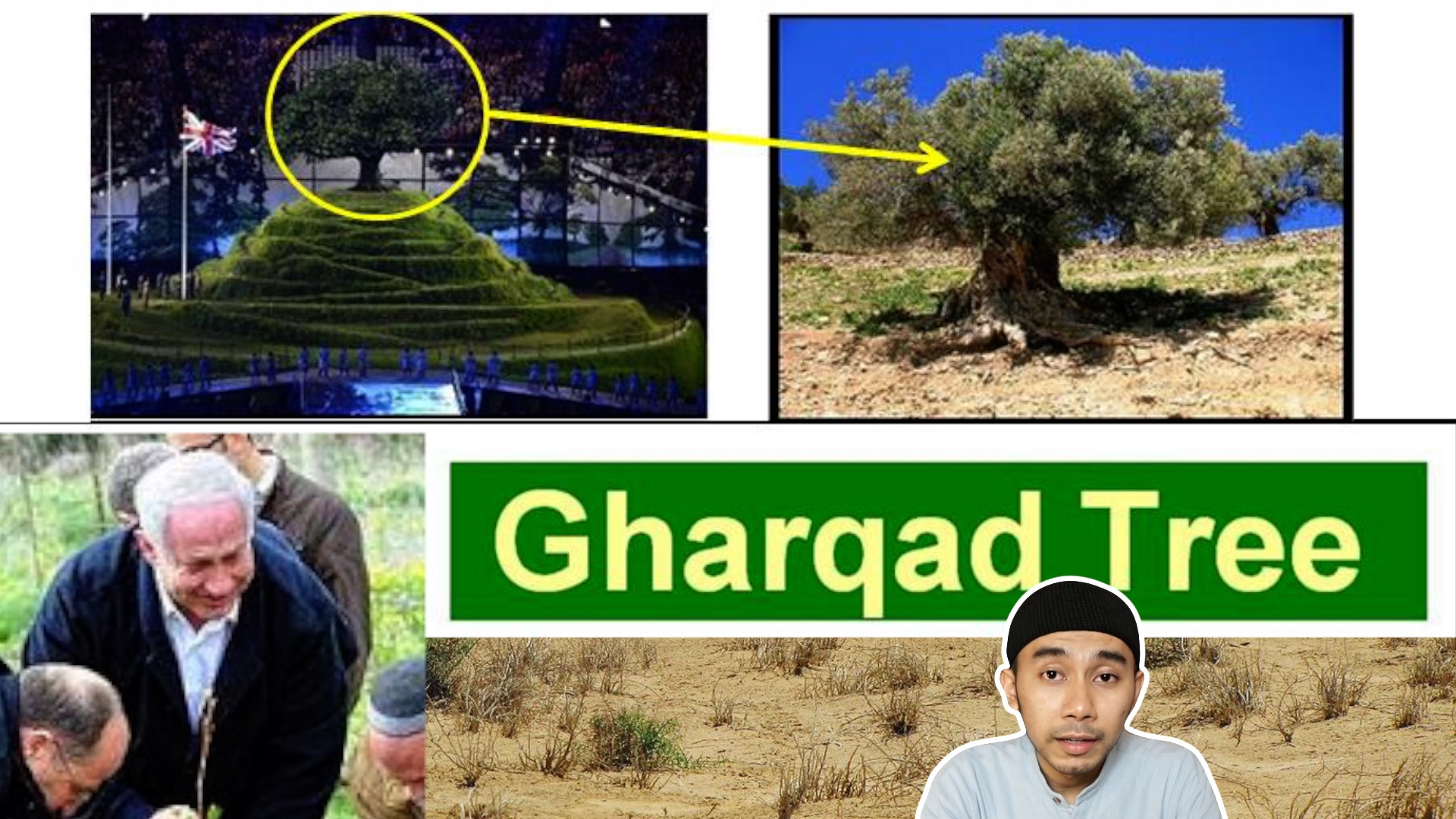 Kenapa Orang Yahudi Tanam Pokok Gharqad? – ML Studios