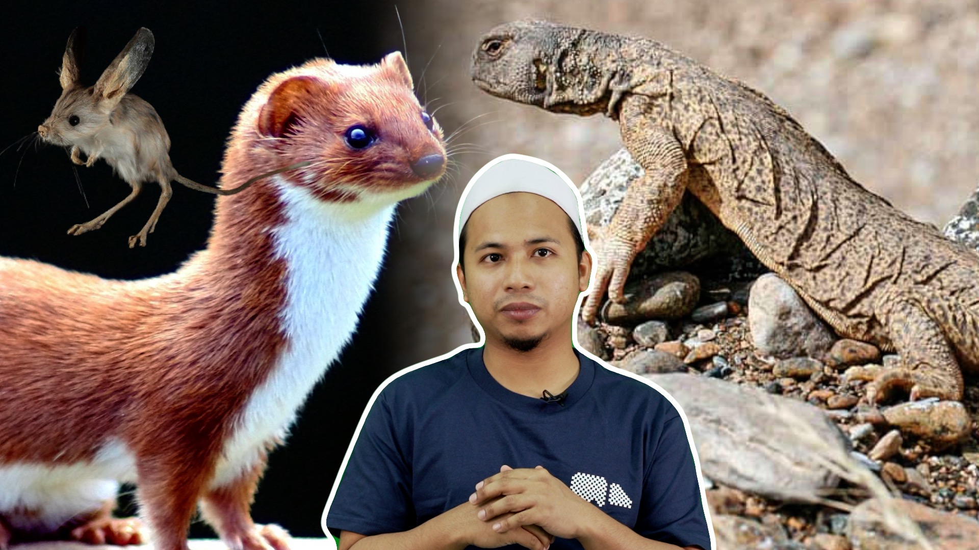 6 Haiwan Rare yang Orang Islam Boleh Makan – ML Studios