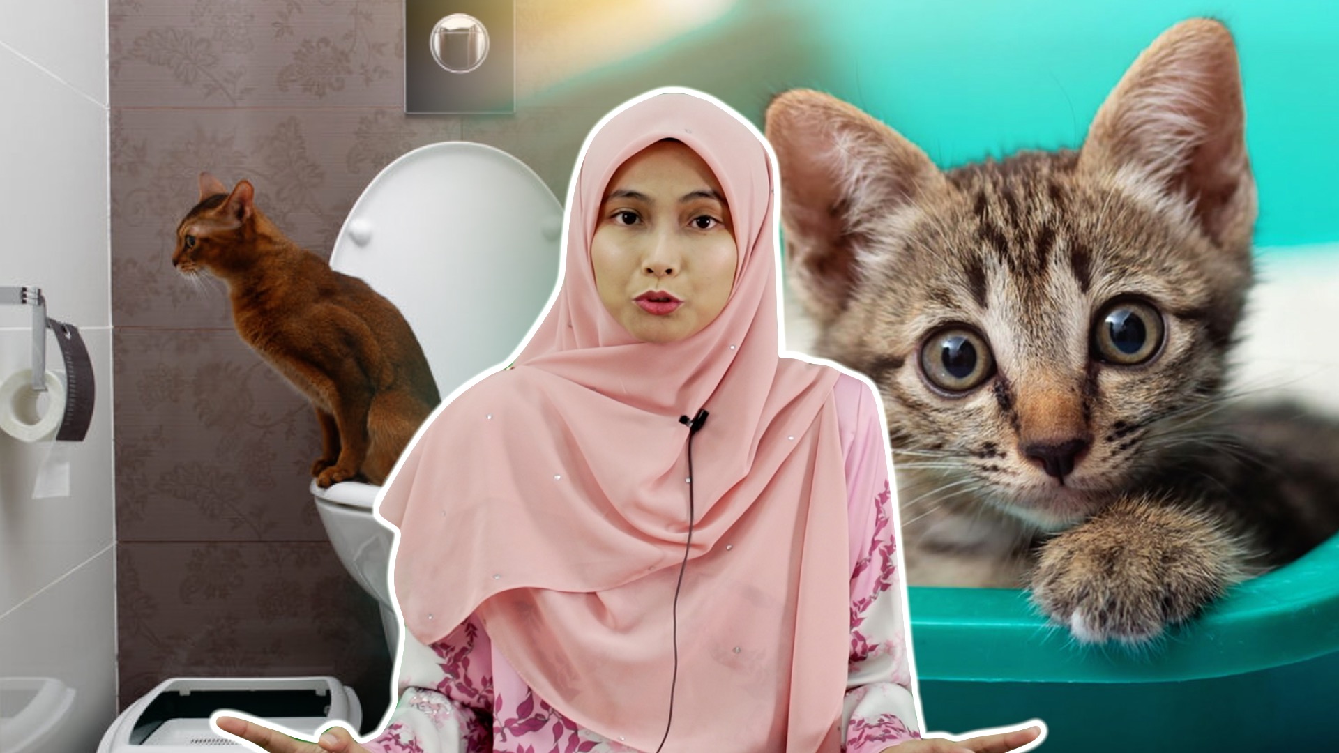 Cara Latih Kucing Berak di Tempat yang Betul – ML Studios